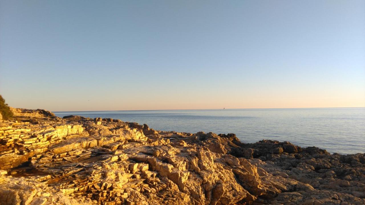 Lair By The Sea - Stoja, Pula Lägenhet Exteriör bild